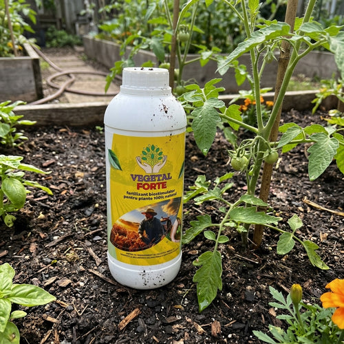Fertilizant biostimulator pentru plante, 100% natural - VegetalForte 1L