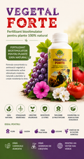 Fertilizant biostimulator pentru plante, 100% natural - VegetalForte 500ml