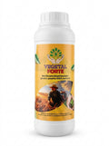 Fertilizant biostimulator pentru plante, 100% natural - VegetalForte 500ml